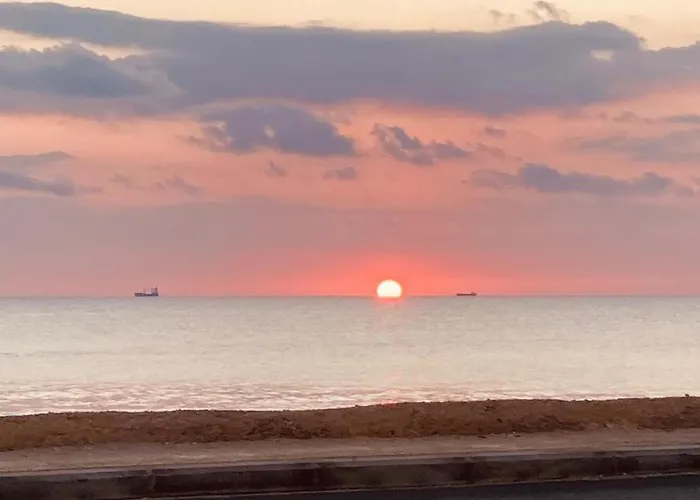 Zagara * 圣玛丽亚德尔法加洛